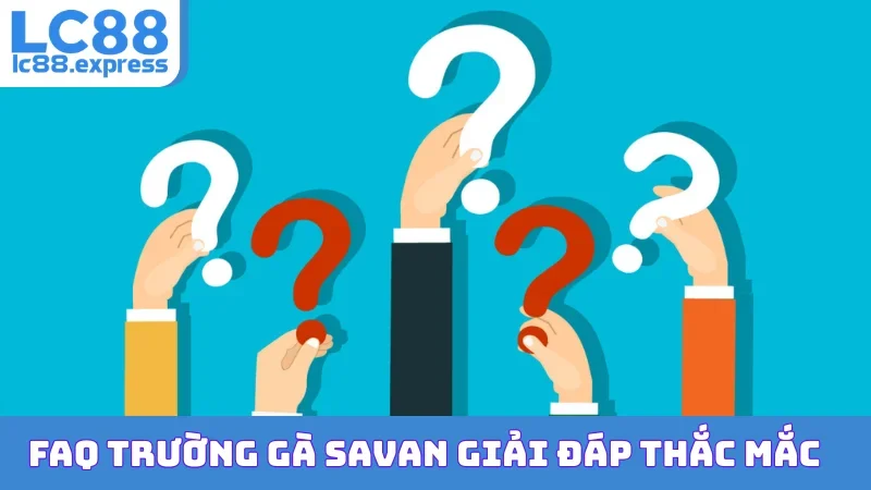FAQ trường gà Savan giải đáp thắc mắc