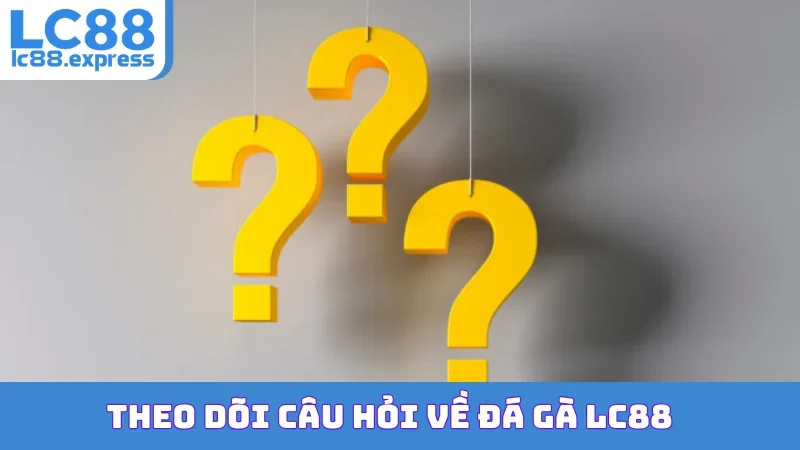Theo dõi câu hỏi về đá gà LC88